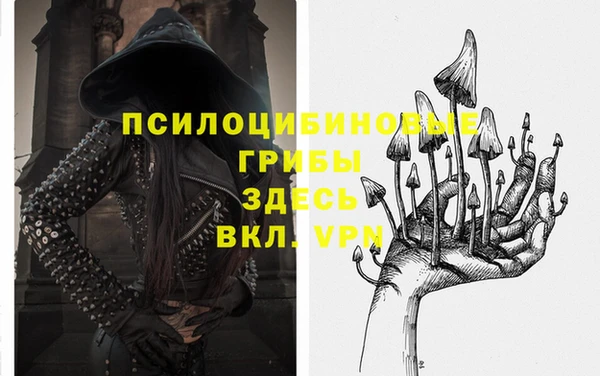 мяу мяу мука Верхнеуральск
