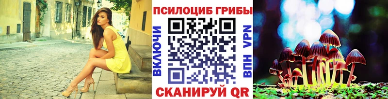 Галлюциногенные грибы Cubensis где купить наркотик Екатеринбург